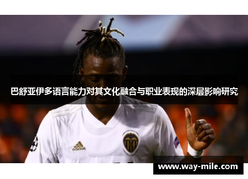 巴舒亚伊多语言能力对其文化融合与职业表现的深层影响研究 巴舒亚伊多语言能力对其文化融合与职业表现的深层影响研究