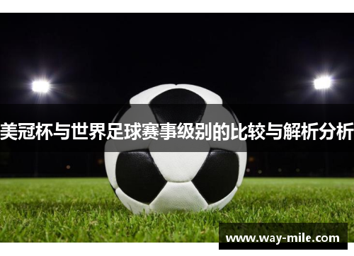 美冠杯与世界足球赛事级别的比较与解析分析